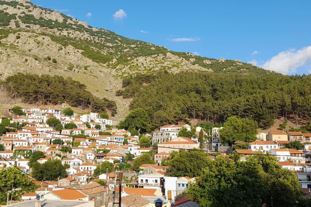 4 Season Cozy Home Samothráki المظهر الخارجي الصورة